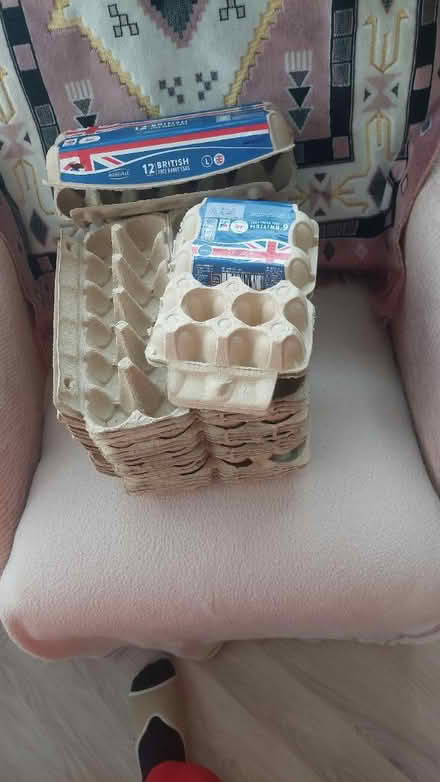 Photo of free Egg boxes (Trentham Stoke-on-Trent ST4) #3