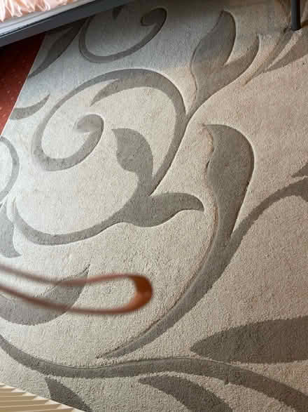 Photo of free Two tone beige rug (Dunstable) #2