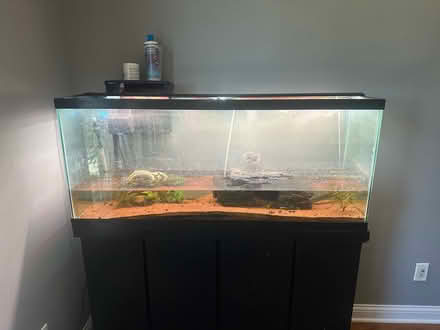 Photo of free Fish tank with a few fish (Karns) #1