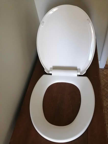 Photo of free Toilet Seat (Old Ottawa East) #3