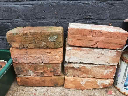 Photo of free 8 old bricks (Carlton) #1