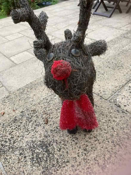 Photo of free Outdoor Planter (Shenfield CM15) #1