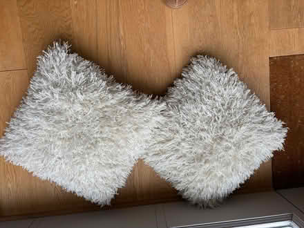 Photo of free Cream shaggy scatter cushions (North Lopham IP22) #2