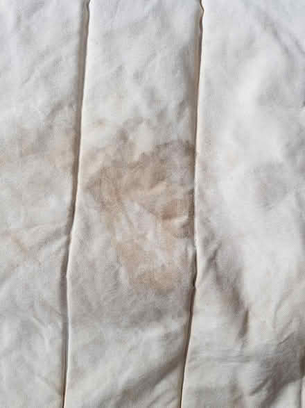 Photo of free IKEA Poang Chair Cover (North Abingdon, OX14) #2