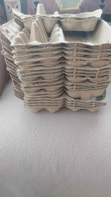 Photo of free Egg boxes (Trentham Stoke-on-Trent ST4) #1