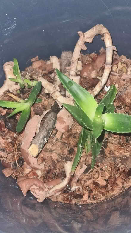 Photo of Tv and household items (Highters Heath B14) #1