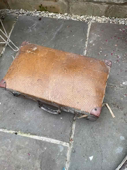 Photo of free Vintage snake skin suitcase (Larkhall, Bath) #1