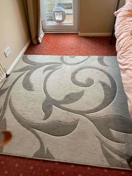 Photo of free Two tone beige rug (Dunstable) #1