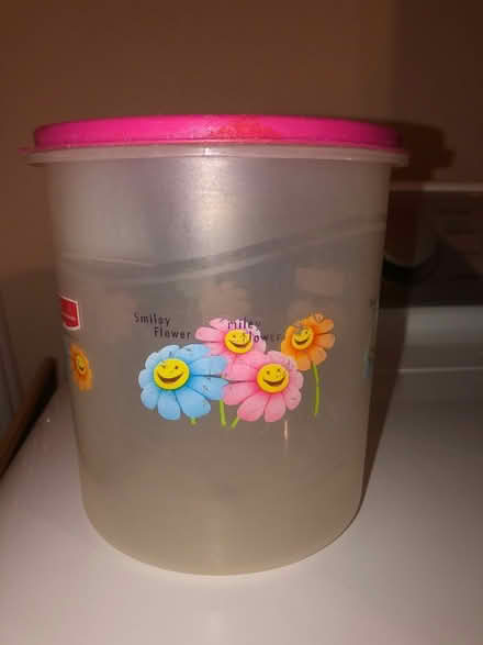 Photo of free container with flower print (South Loop) #1