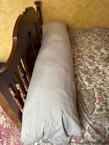 Photo of free Bolster pillow (Leek ST13) #1