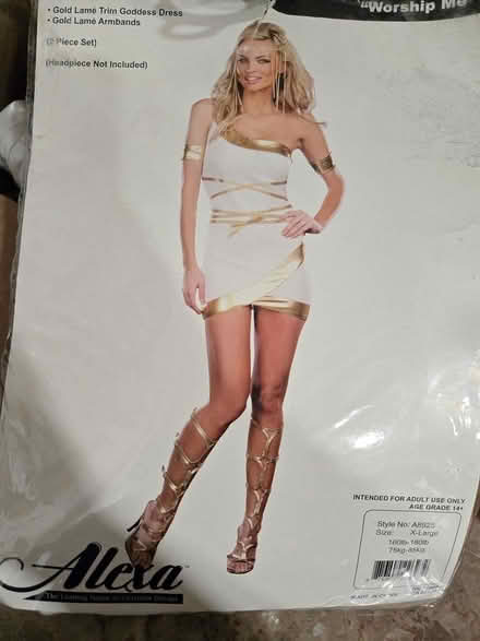 Photo of free Xl woman costume (Bowie) #1