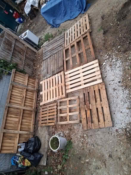 Photo of free 10 x Pallets (Manor Court E10) #1