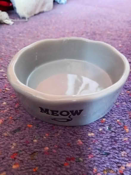Photo of free Cat Bowl (Collyhurst M40) #2