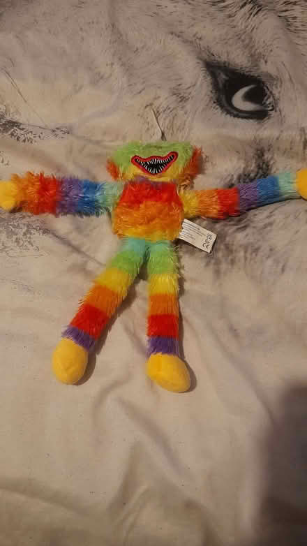 Photo of colourful soft toys (Roche PL26) #1