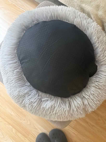Photo of free Cat / kitten bed (Carshalton) #2