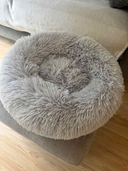 Photo of free Cat / kitten bed (Carshalton) #1