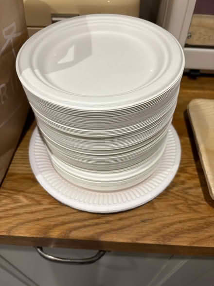Photo of free Throw away picnic ware (cutlery, plates, serviettes) (Selhurst SE25) #1