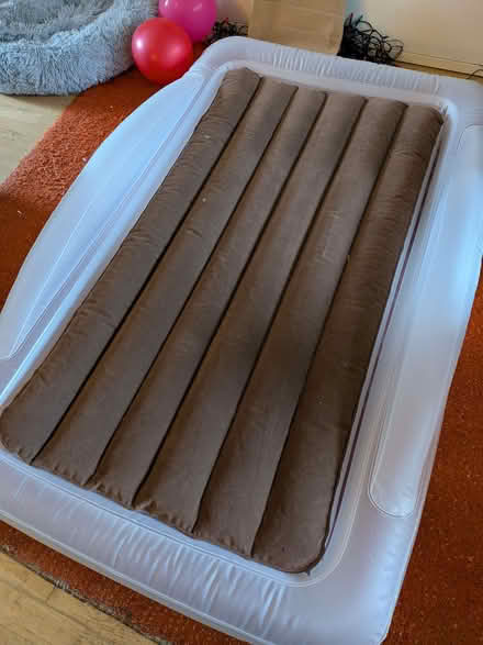 Photo of free Inflatable Childrens Mattress (Forest Hill SE23) #1