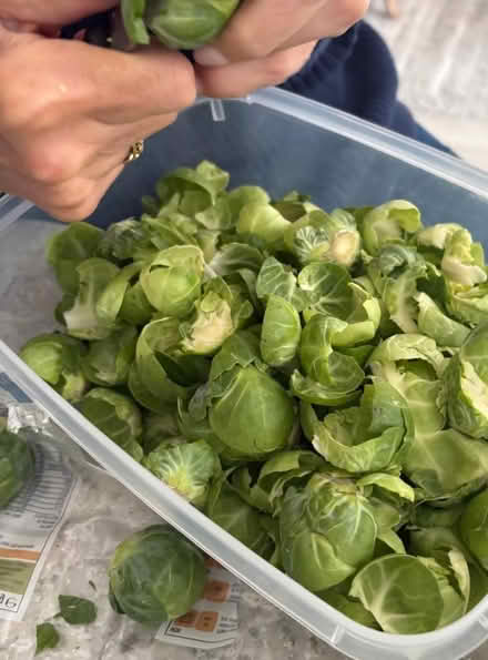 Photo of free Do you have a rabbit or guinea pig? (SW15) #1