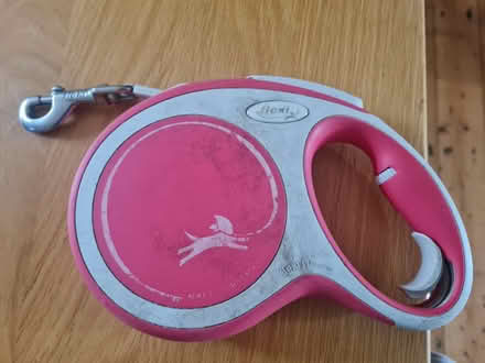 Photo of free Dog lead (M34 Dane Bank) #1