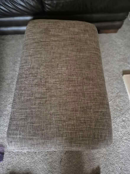 Photo of free Cream and brown fleck (Loughborough LE11) #1