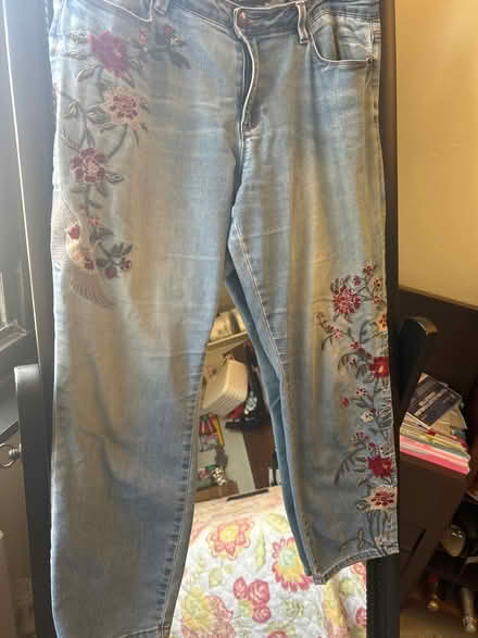 Photo of free Women’s sz 14 embroidered jeans (10011 (17th & 9th)) #1