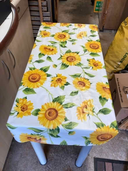 Photo of free Table (Wells, Somerset. BA5) #2