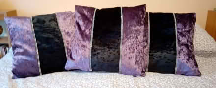 Photo of free Plush cushions x 3 (Orton Goldhay) #1