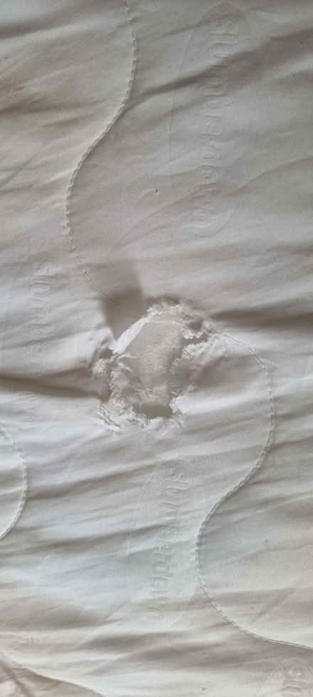 Photo of free Double Slumberdown mattress topper (Lewes BN7) #2