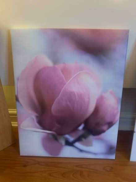 Photo of free pictures x 2 (Leeds LS3) #3