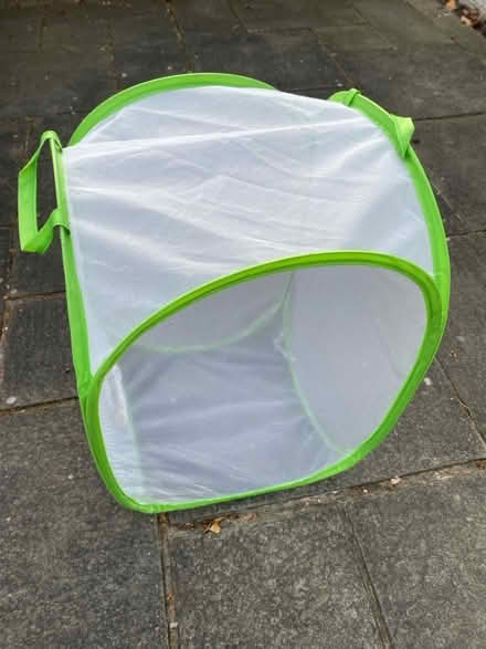 Photo of free Stick insects enclosure (Craiglockhart EH14) #1