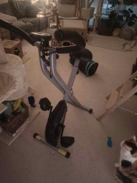 Photo of free Exercise Bike (BS20 - Portishead Marina) #1