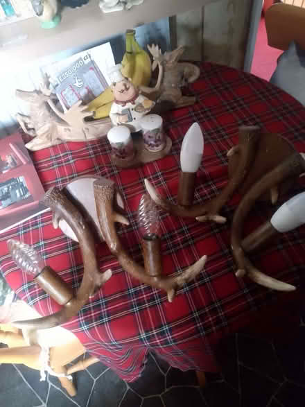 Photo of free Antler Wall Lights (Culgaith CA10) #1
