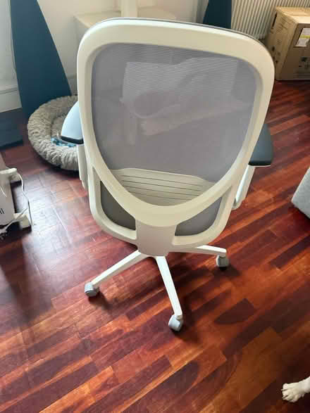 Photo of free White/black adjustable desk chair (E2 Bethnal Green) #1