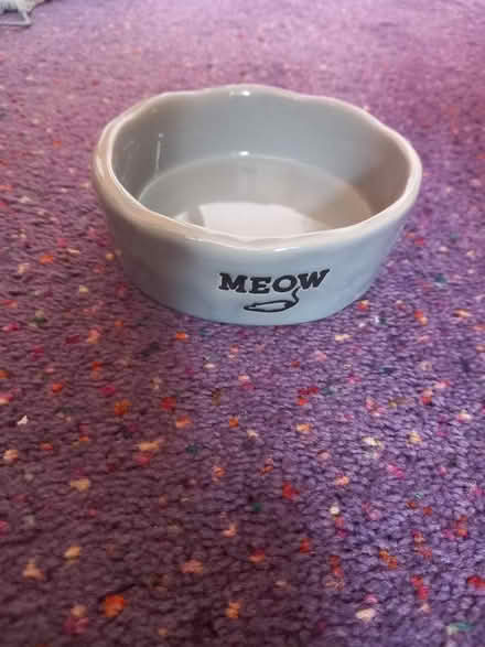 Photo of free Cat Bowl (Collyhurst M40) #1