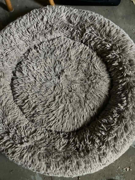 Photo of free Dog bed (Groton, ma) #1