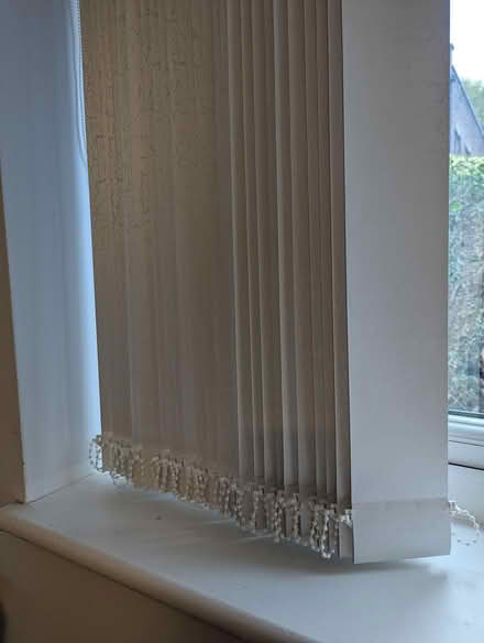 Photo of free Vertical blinds (S1 4EX) #3