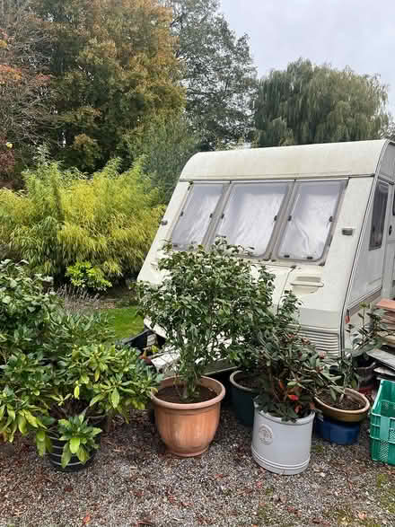 Photo of free Old caravan (Gt Barton) #1