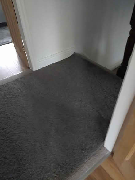 Photo of free Grey rug (WA4) #2
