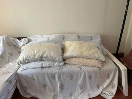 Photo of free old pillos (D St. and 6th St. NE) #1