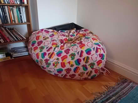Photo of free Beanbag (Abingdon, Peachcroft OX14) #1