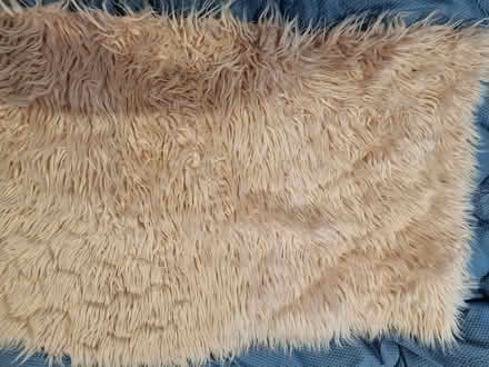 Photo of free Girls pink rug (RG4) #1