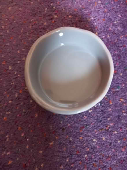 Photo of free Cat Bowl (Collyhurst M40) #3