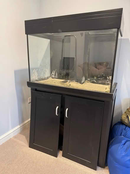 Photo of free Large Fish Tank (Bucknell SY7) #2