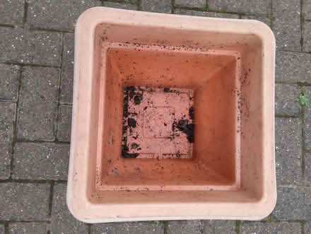 Photo of free Large plastic plant pots (Hutton CM13) #1