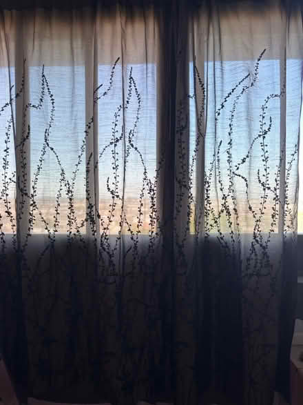 Photo of free Set of 4 curtains (North Arlington, NJ) #1