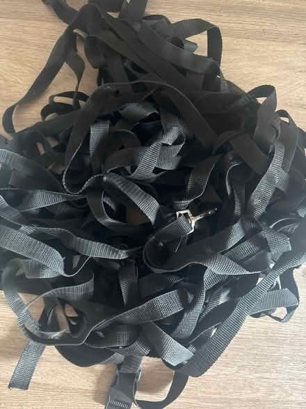 Photo of free Long line for dog (Maidstone ME15) #1