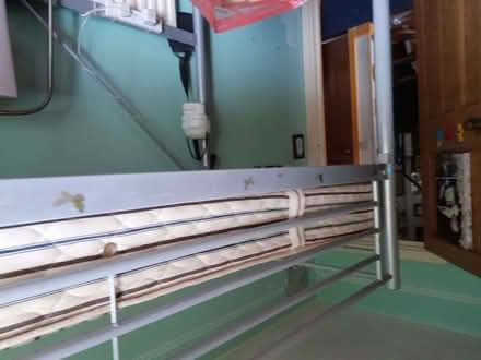 Photo of free Single "High-sleeper" style bed (Loughborough LE11) #4