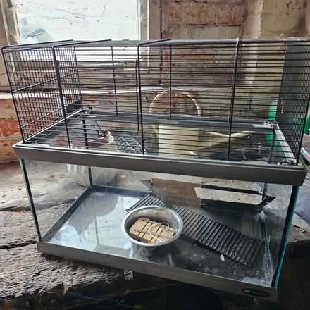 Photo of free Gerbil cage (Turgis Green RG27) #1