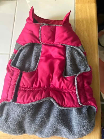Photo of free Small dog coat (10011 (17th & 9th)) #2